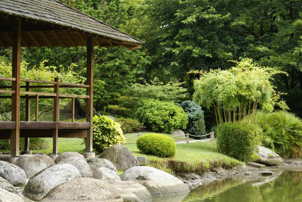jardin-japonais
