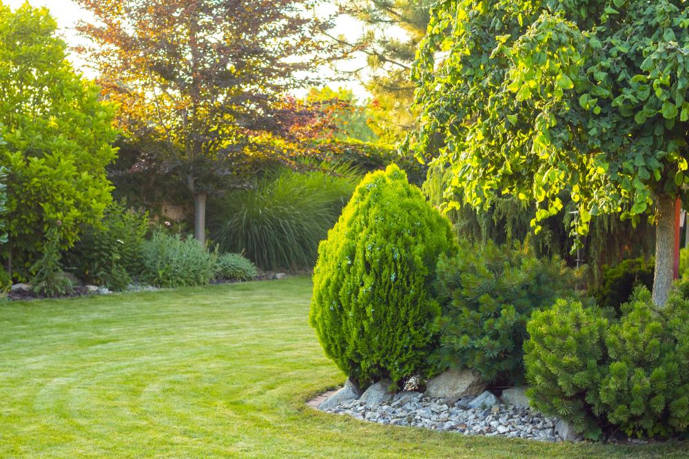 jardin