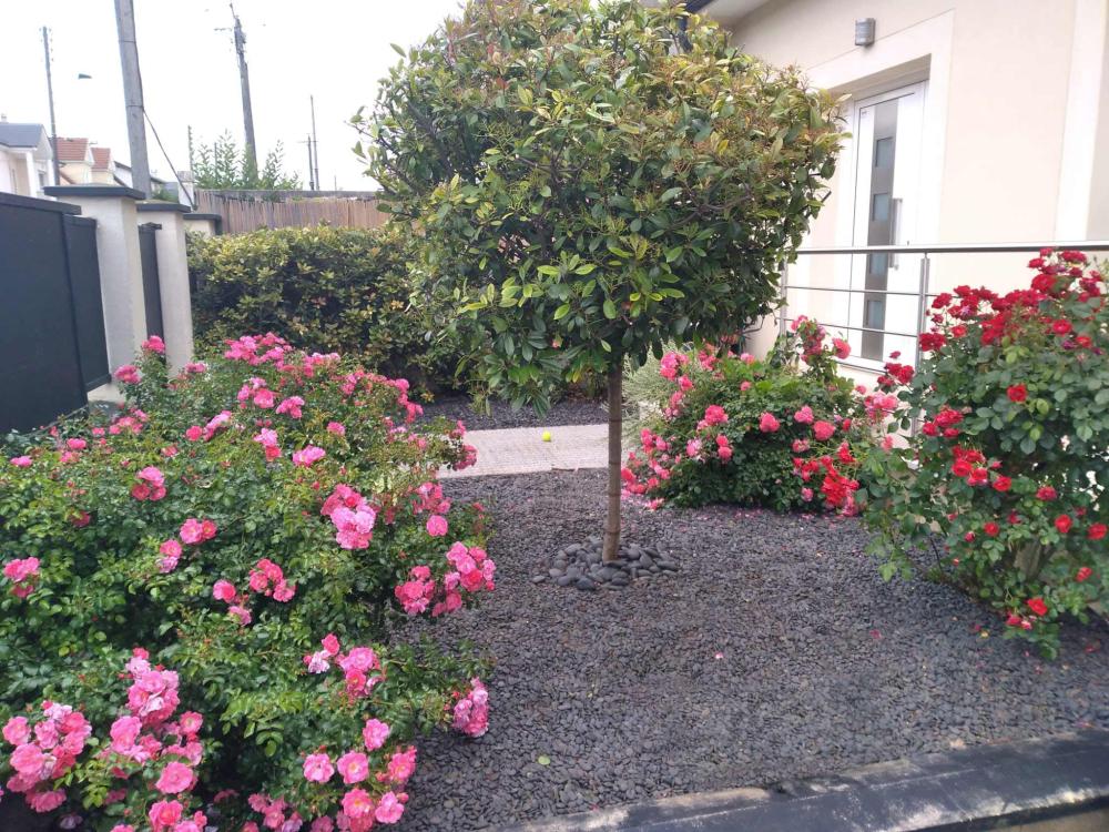 jardin
