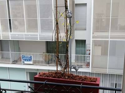 plante-balcon