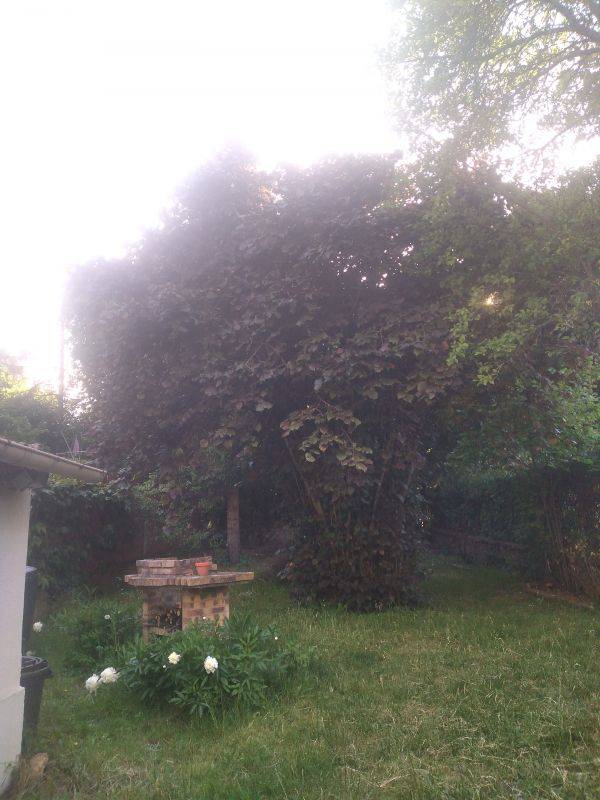 amenagement-jardin