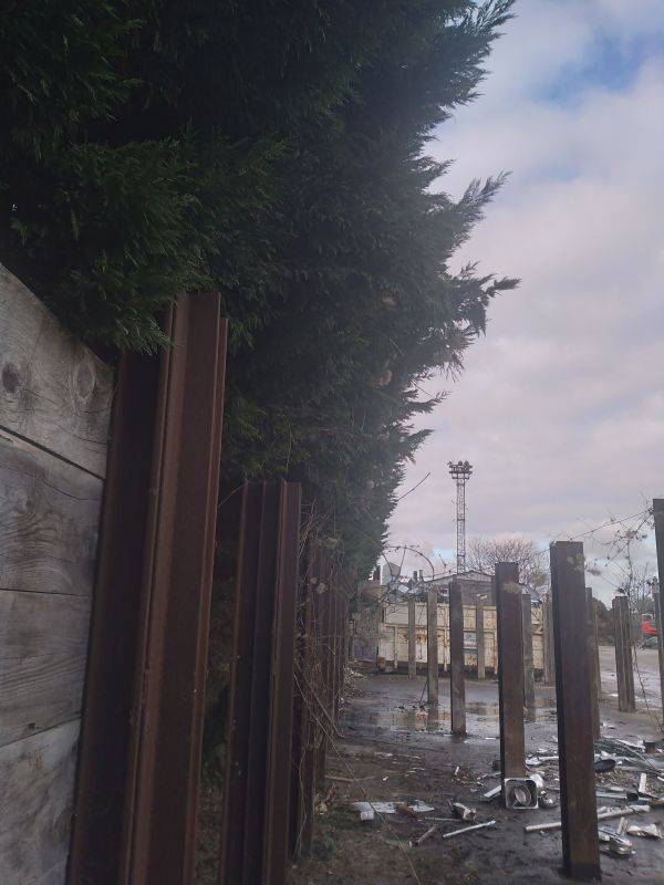 entretien-arbres